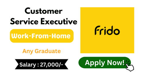 Customer Service Executive Hiring in Frido